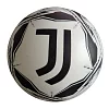 Licencja kulkowa z nadrukiem F.C.JUVENTUS 230 mm 06/174K