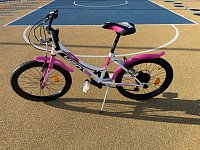 Dino bikes sport girls bike 20