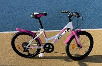 Dino bikes sport girls bike 20